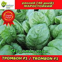 Насіння, Шпинат гібрид ТРОМБОН F1 / TROMBON F1 (50 000 насіння), Pop Vriend Seeds (Нідерланди)