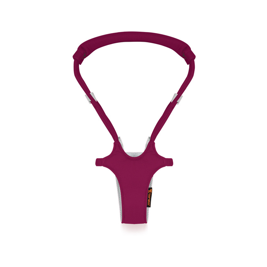 Дитячі віжки Lorelli First Steps Червоний, фото 1