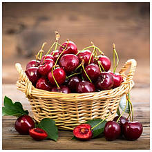 Саджанці черешні