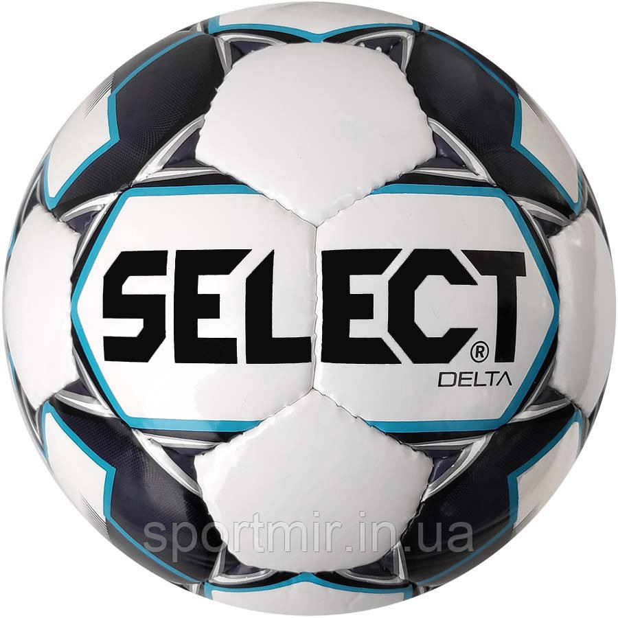 М'яч футбольний SELECT Delta IMS (015) біл/сір розмір 5 (0855846009), фото 1