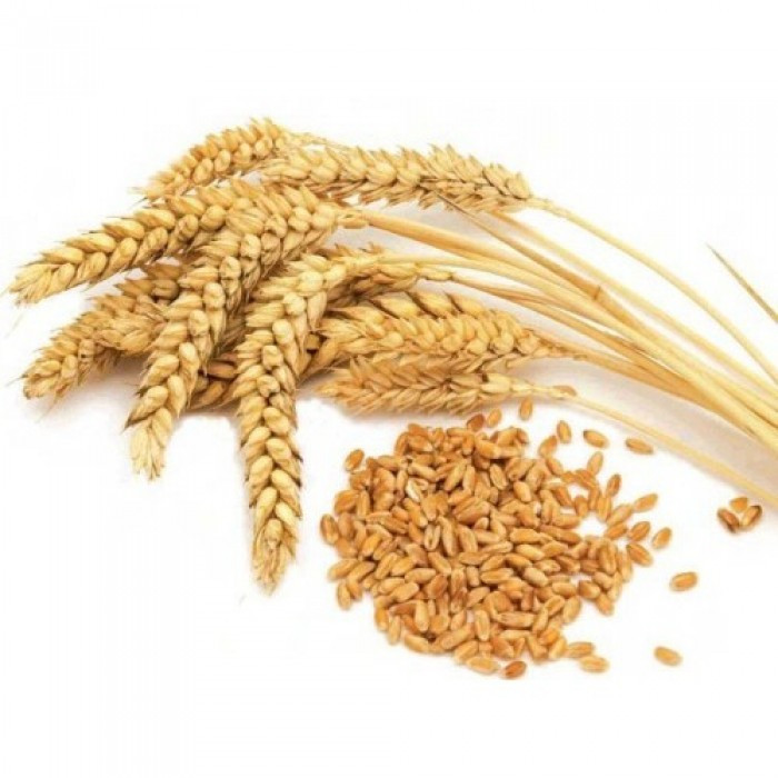 Зерно пшениці 1 кг