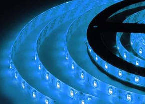 Led 5630 Blue 181215, фото 4