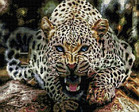 Набор Алмазная мозаика вышивка (квадратные стразы, полная выкладка, без подрамника) "Взгляд леопарда" 40х50см