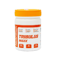 Tribulus Max Terrestris 90% saponins (Трібулус) Німеччина, 90 капсул по 650 мг