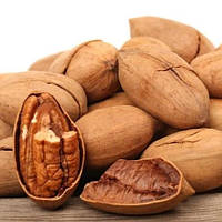 Саженцы ореха пекана ГраЗона (GraZona) - средне-ранний, зимостойкий, крупноплодный