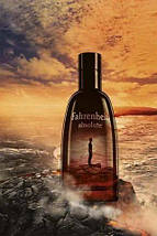 Fahrenheit Absolute туалетна вода 100 ml. (Фаренгейт Абсолют), фото 5