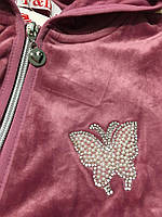 Велюрова пайта для дівчаток оптом, F&D, 8-16 років, арт. YF-8451, фото 3