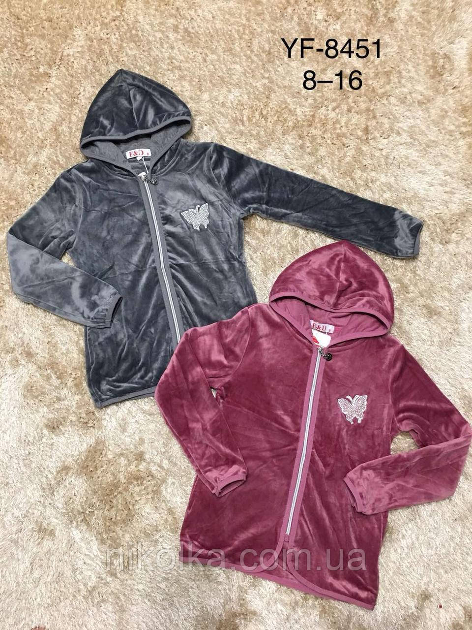 Велюрова пайта для дівчаток оптом, F&D, 8-16 років, арт. YF-8451, фото 1