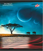 Зошит 96 аркушів клітинка і лінія в асортименті TB96KLE Бріск