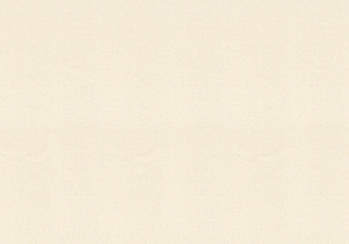 Шпалери Vinil Wallpaper Factory СШТ Джунглі 4-1099 1,06х10,05м