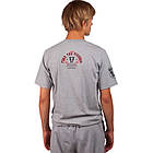 Футболка чоловіча KARATE Sport KT-42 розмір L (50-52) Grey-Blue-Red, фото 4