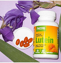 Лютеїн Jarrow Formulas Lutein 20 мг 60 капс гел, фото 3