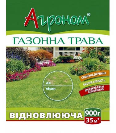 Насіння газонної трави відновлююча Агроном, DLF Trifolium (Данія), 900 г, фото 2