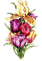 Канва с рисунком вышивка крестом Ирис и тюльпаны
