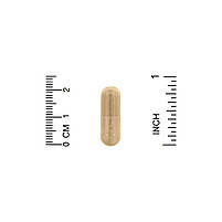 Силімариновий комплекс (Silymarin Complex) California Gold Nutrition, 120 капсул, фото 3