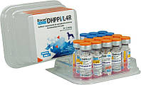 Вакцина для Собак Биокан Новел (Biocan Novel) DHPPi + L4R комплексная - 1 доза