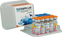 Вакцина для Собак Біокан Новел (Biocan Novel) DHPPi + L4R комплексна — 1 доза