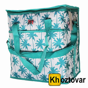 Термосумка Cooling Bag DT4242