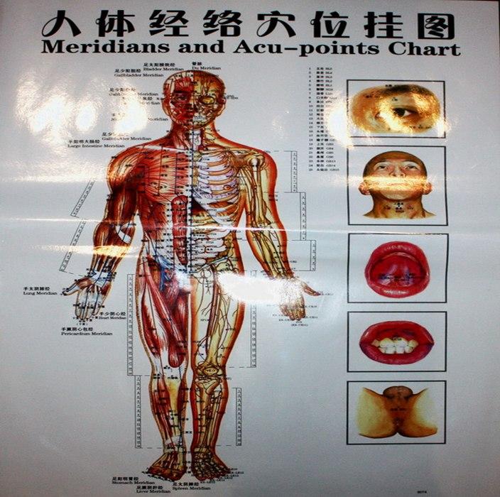 Атлас акупунктурных меридианов и точек набор 3 плаката: продажа, цена в ...