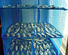 Сітка для сушіння риби грибів овочів і фруктів сушарка на повітрі, фото 5