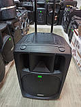 Потужна акумуляторна акустика Temeisheng TMS SL-16 (USB-BT-2MIC-600W), фото 4