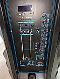 Потужна акумуляторна акустика Temeisheng TMS SL-16 (USB-BT-2MIC-600W), фото 5