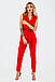 Класичний літній жіночий брючний костюм-двійка Archer, червоний, фото 3