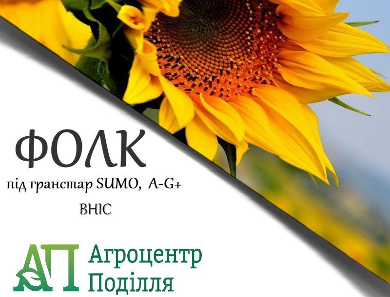 Насіння соняшнику під гранстар Фолк 110 дн. фракція Екстра