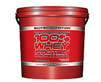 Scitec Nutrition 100% Whey Protein Professional 5000g