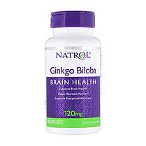 Гінкго білоба Natrol Ginkgo Biloba 120 mg 60 капс, фото 2