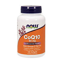 Коензим Q10 Омега 3 NOW CoQ10 60 mg with Omega-3 120 капс гел, фото 3