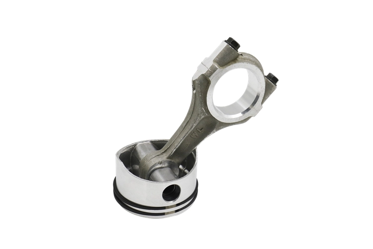 (80947) Поршень в зборі, діаметр 60 мм для компресорів HGX44e/565-4 +S