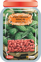 Огірок корнішон Тітус F1, 45-55 шт. дражованого насіння Яскрава