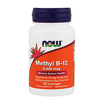 Вітамін В12 метилкобаламін Now Foods Methyl B-12 5000 mcg 120 льодяників, фото 4