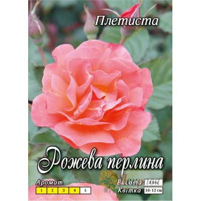 Троянда в'юнка Рожеві перли (Pink Pearls) клас АА