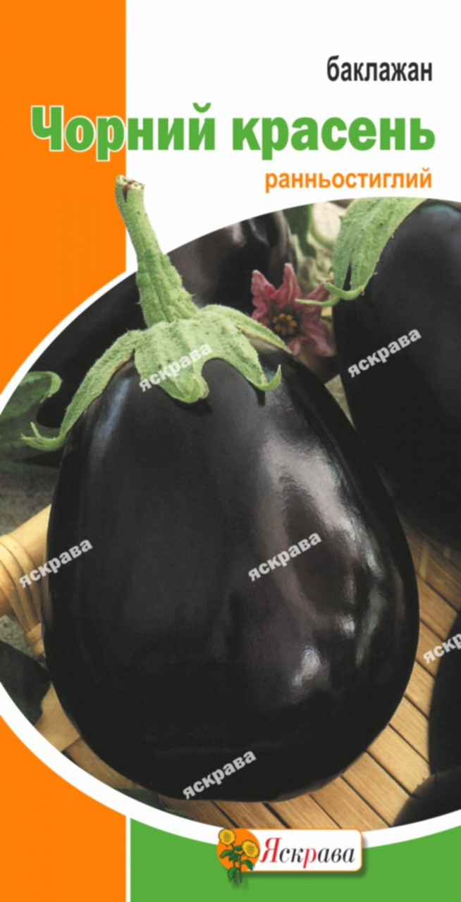 Баклажан Чорний красень, насіння Яскрава 0.3 г