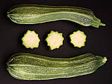 Кабачок цукіні Романеско(Італія), насіння Яскрава 3 г, фото 2