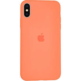 Чохол Silicone Case для iPhone X силіконовий, Папая