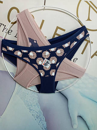 Жіночі труси Donella. Туреччина, фото 1