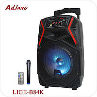 Аккумуляторная акустика Ailiang B84