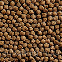 Німецький корм для коропів Коі Alltech Coppens Wheat Germ 15 кг (М-6мм) (для низьких температур, корм для ставкових риб), фото 4