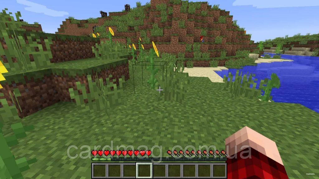 Купить Minecraft Windows 10 Edition, цена 740 ₴ — Prom.ua (ID#1225691685)