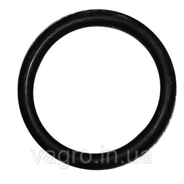 Кільце упл. клапана насоса 31,5х4,25 мм AR 70-115-135