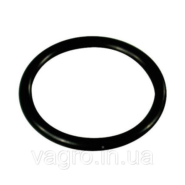 Кільце упл. клапана насоса 31,5х4,25мм AR 70-115-135-160-185-250-280 Італія