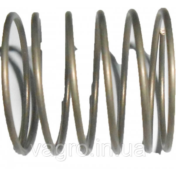 Пружина клапана насоса 18,9х20,85 AR 70-115-135-160-185-250-280 Італія