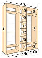 Шкаф-купе 2300*450*2400, 3 двери (Алекса)