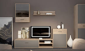 Меблева стінка Selena (Селену) колір сонома + латте, фото 2