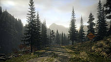Alan Wake Collectors Edition (Steam), фото 6