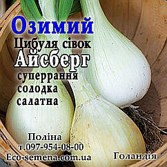 Лук сівок озима Айсберг (Aisberg), Голландія, 1 кг