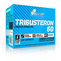 Трибулус Бустер тестостерону Olimp Tribusteron 60 120 капс